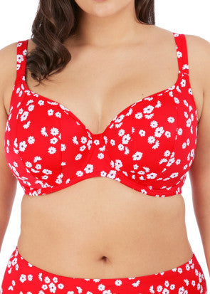 Elomi Swim Plain Sailing bikiniöverdel F-K-kupa röd